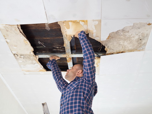 Mold Damage Insurance Claims